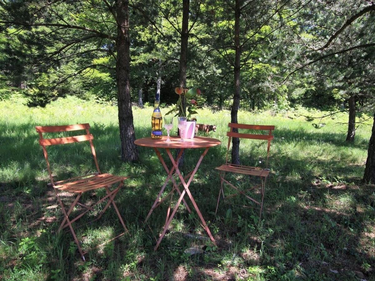 Gite Nature Au Chambon-Sur-Lignon: Terrasse, Wifi, Proche Activites Et Commerces - Fr-1-582-137 Le Chambon-sur-Lignon Zewnętrze zdjęcie