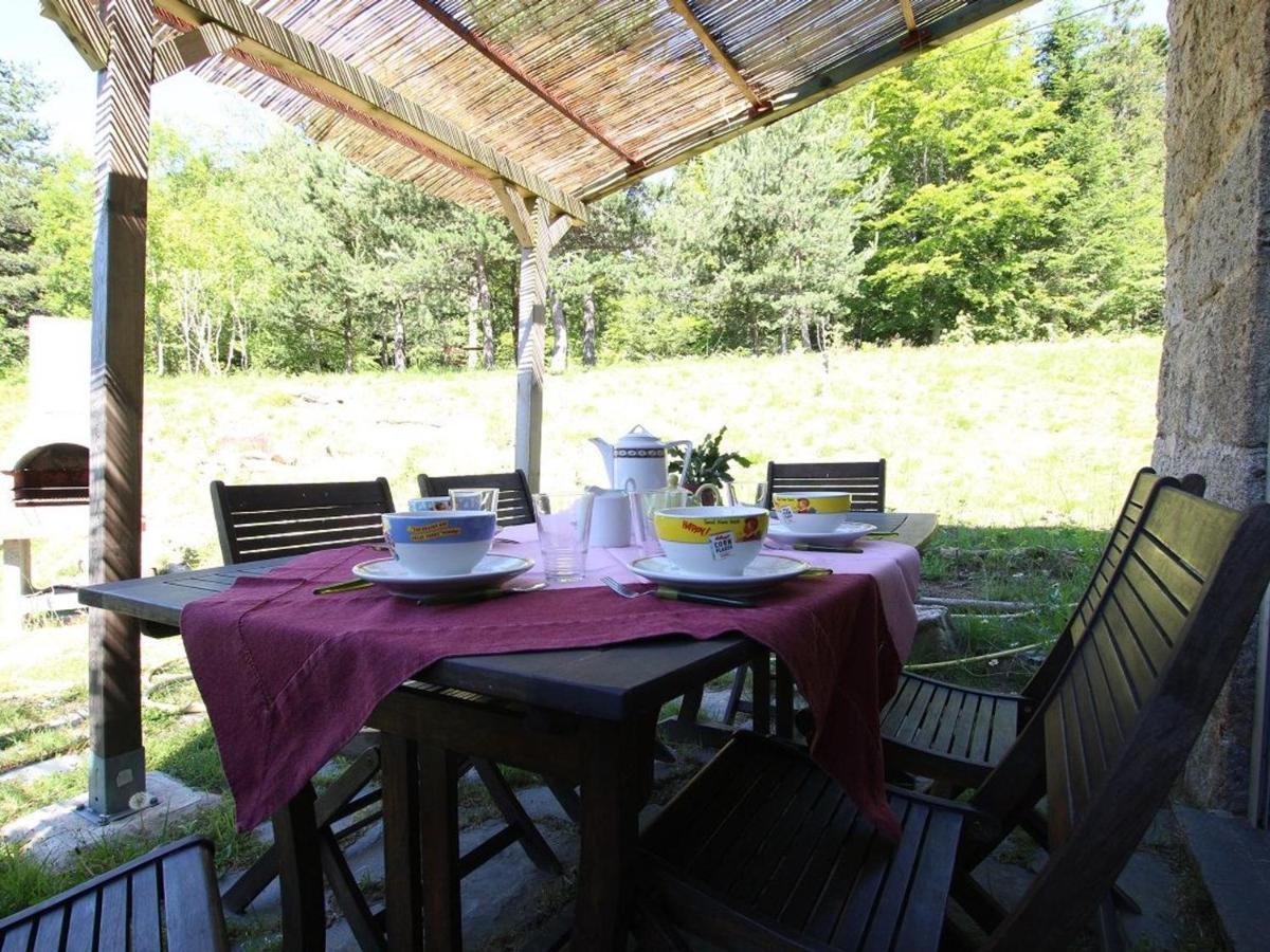 Gite Nature Au Chambon-Sur-Lignon: Terrasse, Wifi, Proche Activites Et Commerces - Fr-1-582-137 Le Chambon-sur-Lignon Zewnętrze zdjęcie