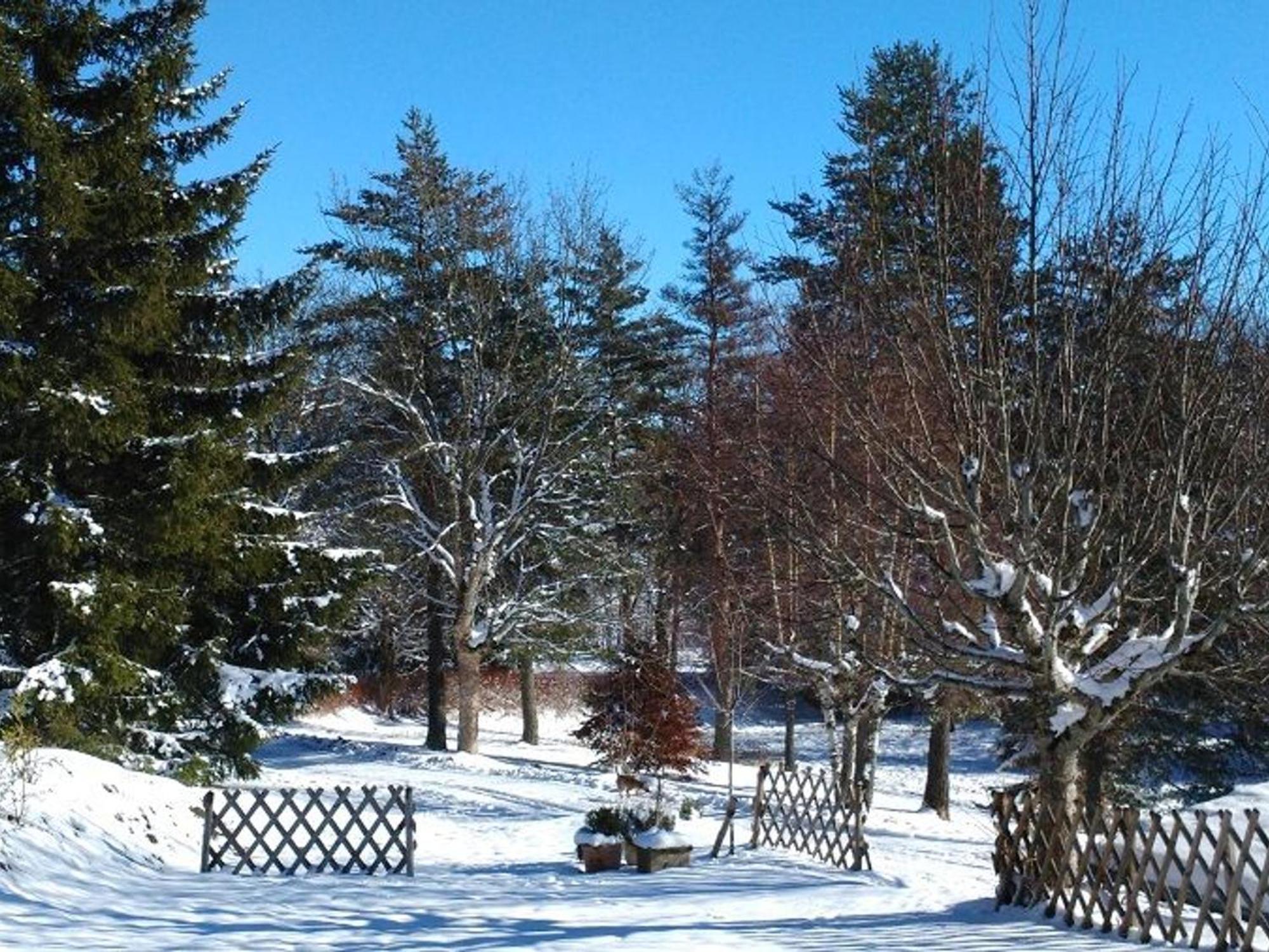 Gite Nature Au Chambon-Sur-Lignon: Terrasse, Wifi, Proche Activites Et Commerces - Fr-1-582-137 Le Chambon-sur-Lignon Zewnętrze zdjęcie