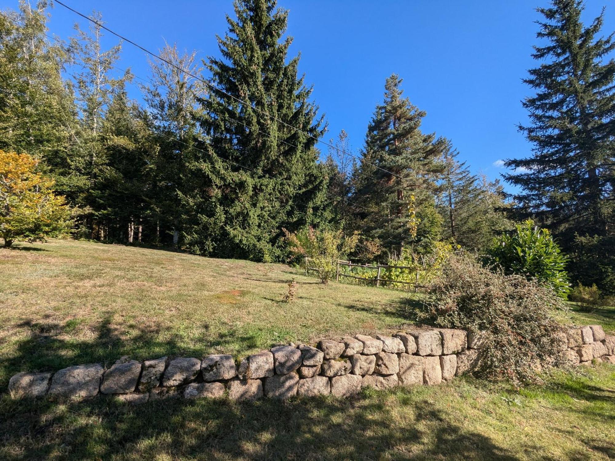 Gite Nature Au Chambon-Sur-Lignon: Terrasse, Wifi, Proche Activites Et Commerces - Fr-1-582-137 Le Chambon-sur-Lignon Zewnętrze zdjęcie